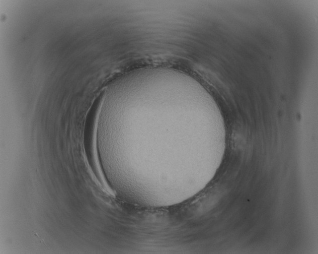 X0000084600865200703091926