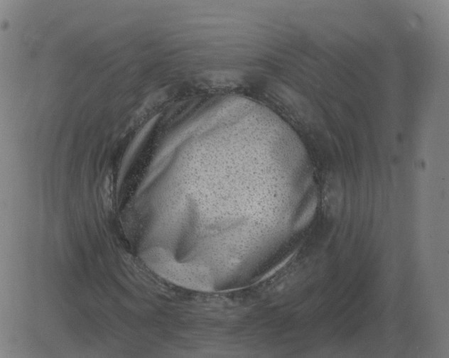 X0000084600866200703091926