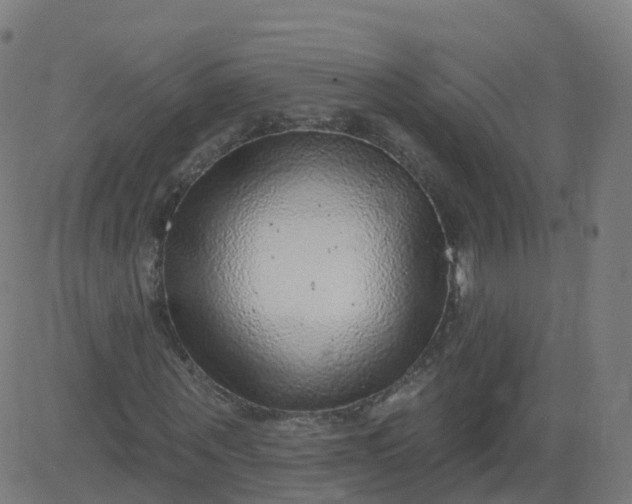 X0000084600867200703091926