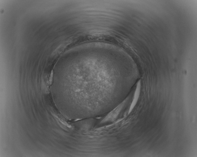 X0000084600868200703091926