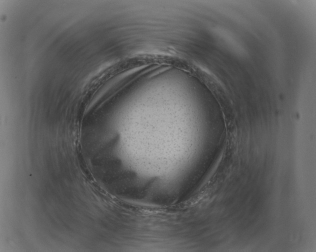 X0000084600870200703091926