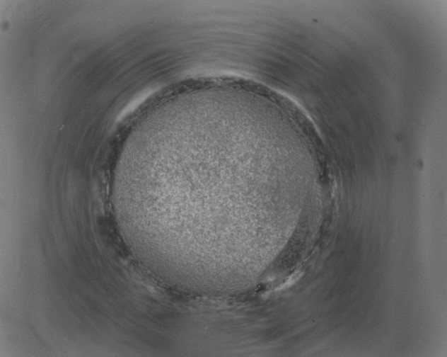 X0000084600871200703091926