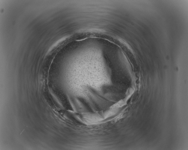 X0000084600872200703091926