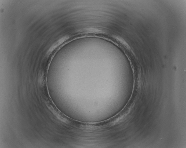 X0000084600873200703091926