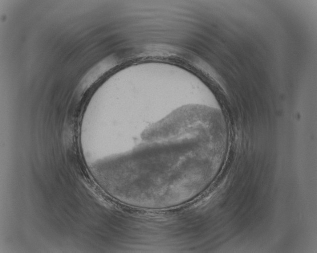 X0000084600874200703091926