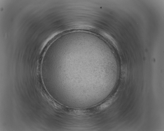 X0000084600875200703091926