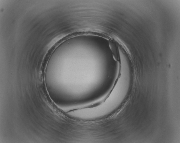 X0000084600876200703091926