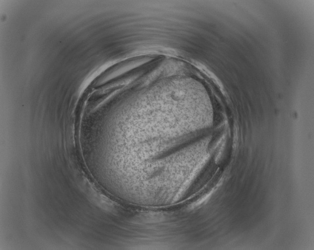 X0000084600877200703091926