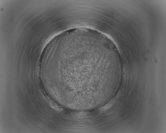 X0000084600879200703091926