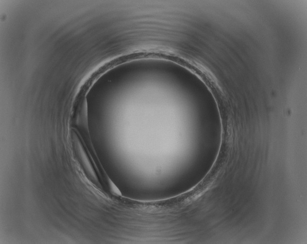 X0000084600880200703091926