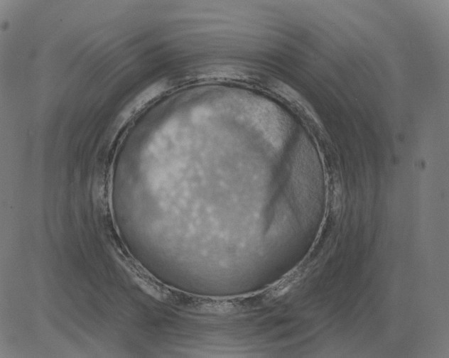 X0000084600882200703091926