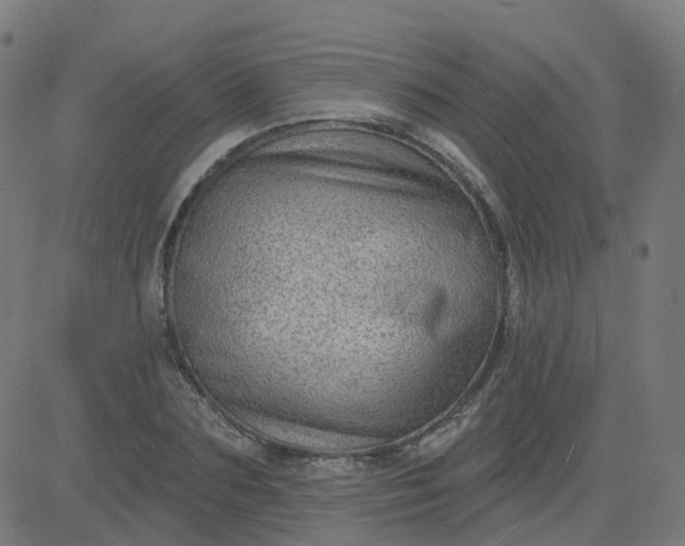 X0000084600883200703091926