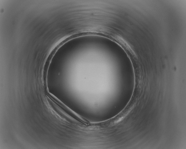 X0000084600884200703091926