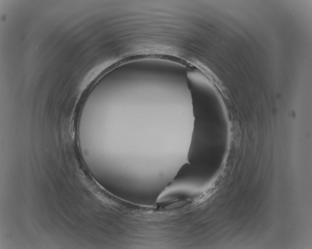 X0000084600885200703091926