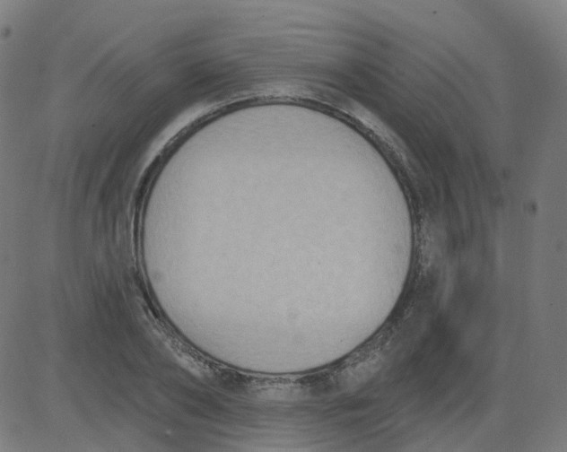 X0000084600886200703091926