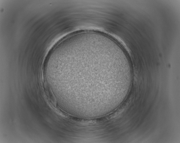 X0000084600887200703091926