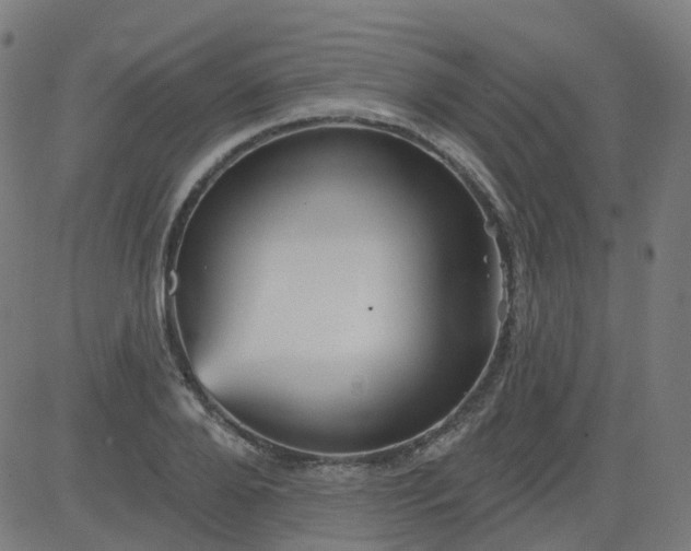 X0000084600888200703091926