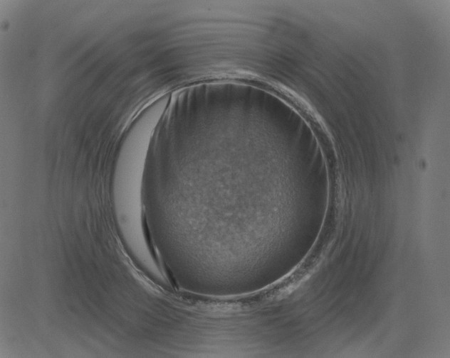 X0000084600889200703091926