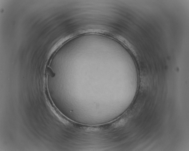 X0000084600890200703091926