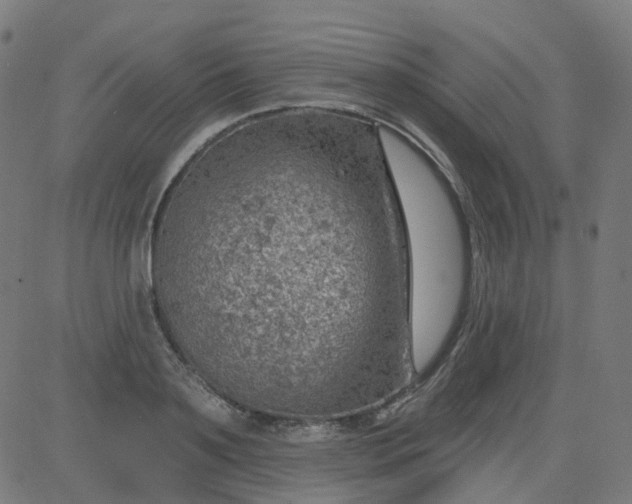 X0000084600891200703091926