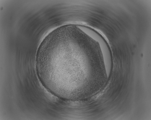 X0000084600895200703091926