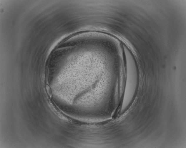 X0000084600896200703091926