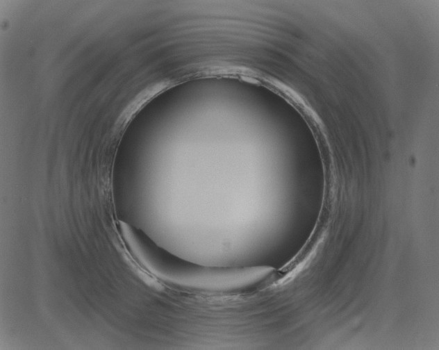 X0000084600897200703091926