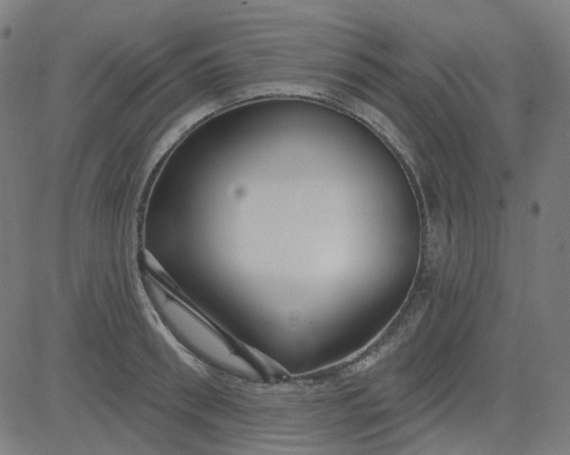 X0000084600898200703091926