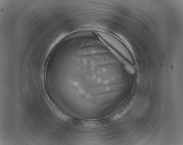 X0000084600899200703091926