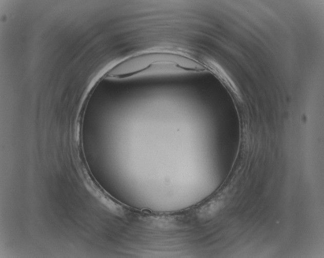 X0000084600900200703091926