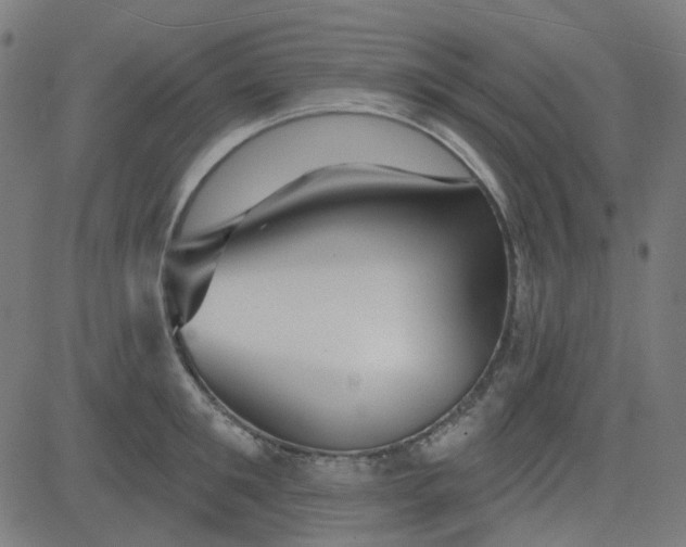 X0000084600901200703091926