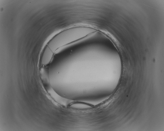 X0000084600902200703091926