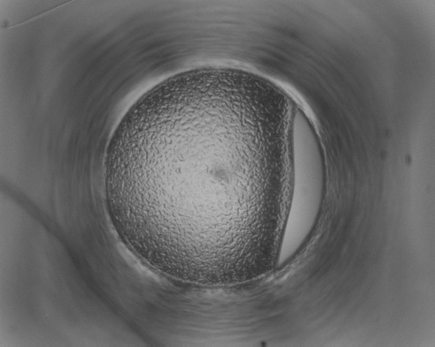 X0000084600903200703091926