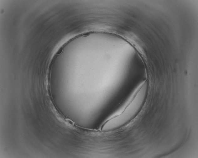 X0000084600904200703091926