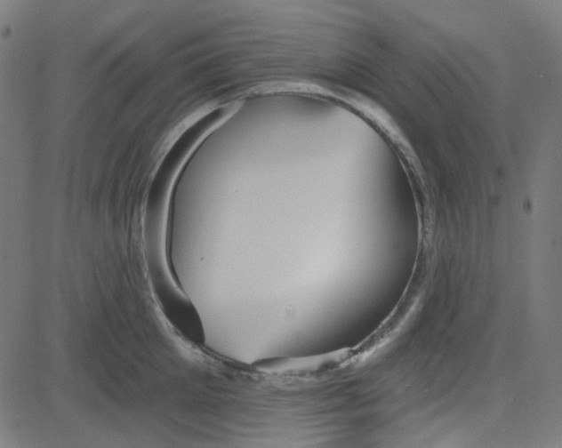 X0000084600905200703091926