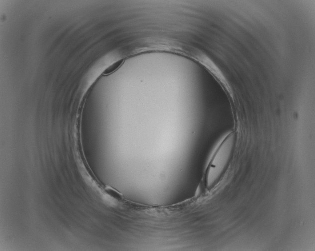 X0000084600906200703091926