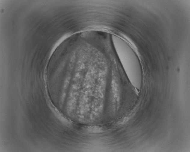 X0000084600907200703091925