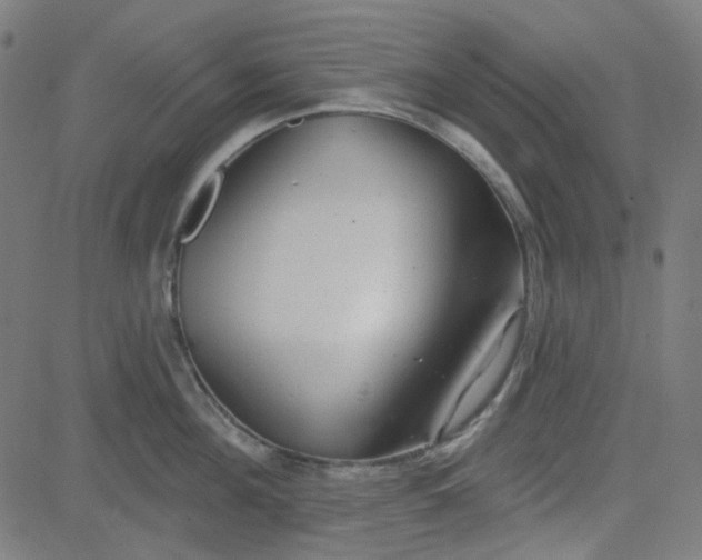 X0000084600908200703091925