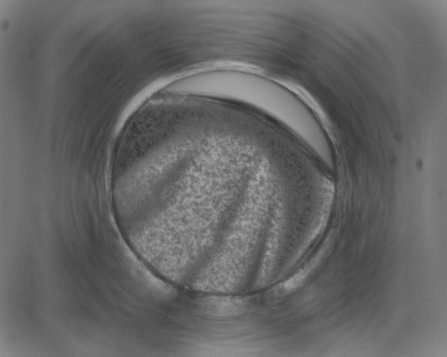 X0000084600910200703091925