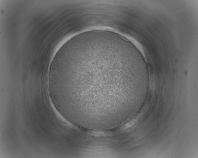 X0000084600911200703091925