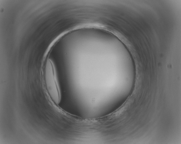 X0000084600912200703091925