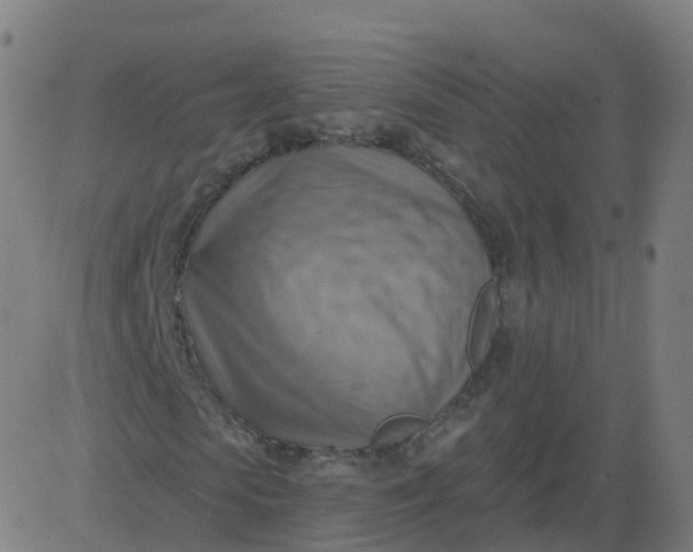 X0000084600913200703091925