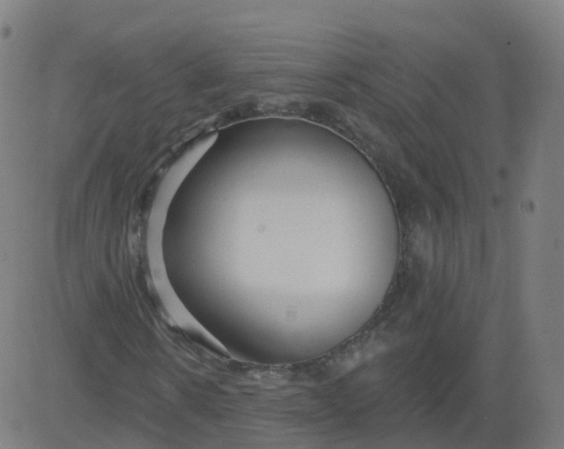 X0000084600914200703091925