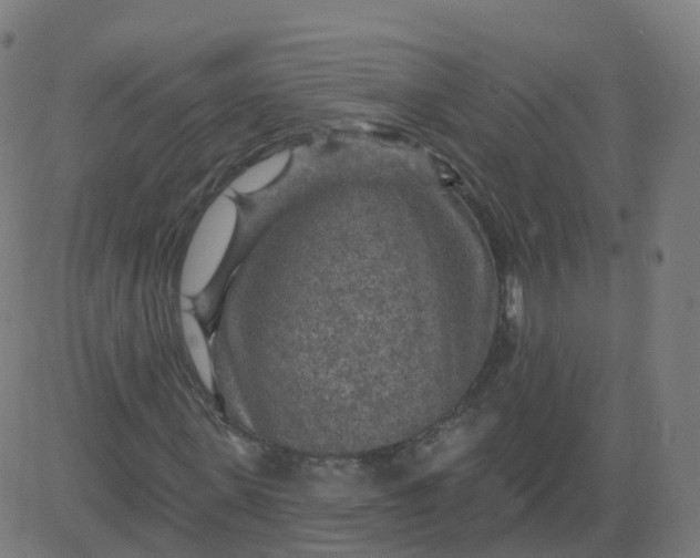 X0000084600915200703091925