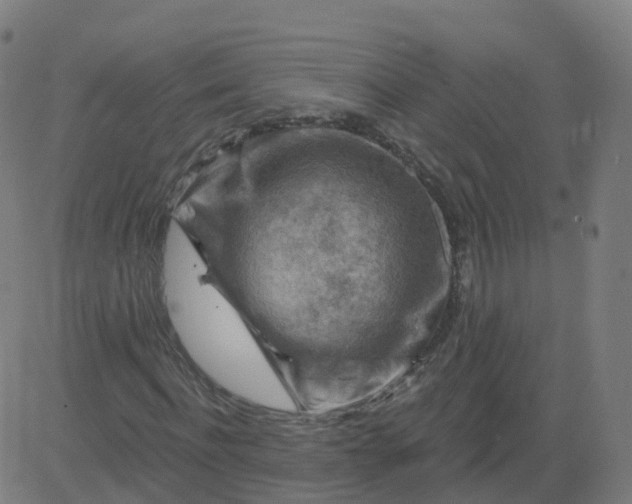 X0000084600916200703091925