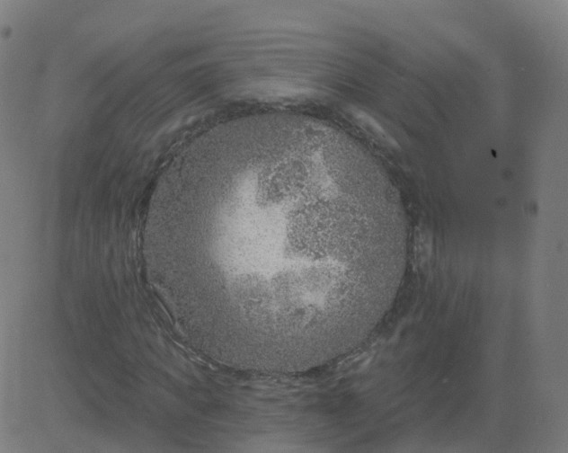 X0000084600917200703091925