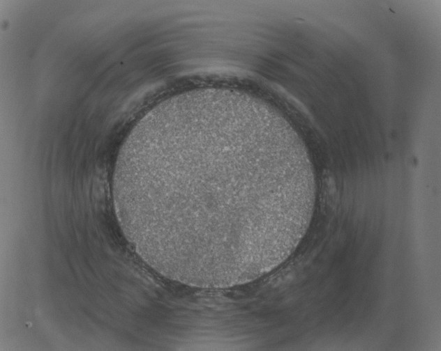 X0000084600918200703091925