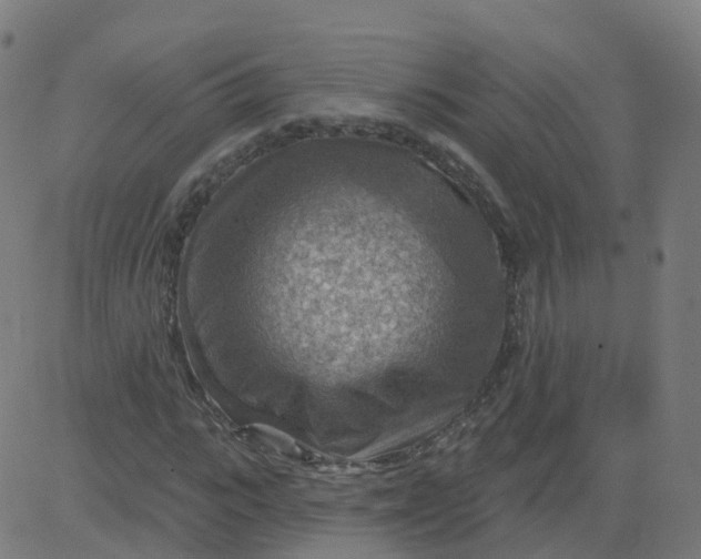 X0000084600919200703091925