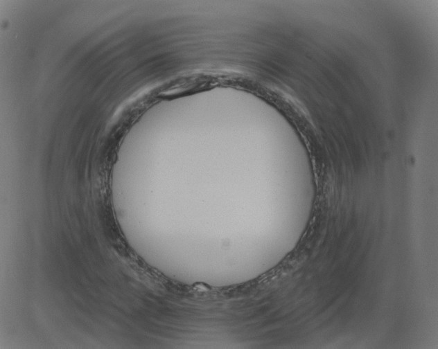 X0000084600920200703091925