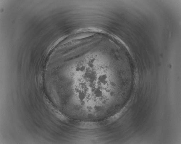 X0000084600921200703091925